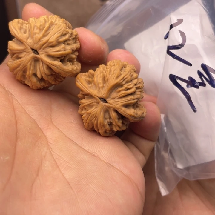 文玩核桃把件36全品麦穗虎头