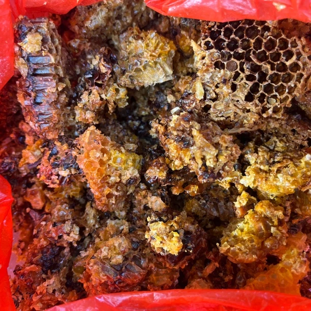 巢脾 蜡渣 蜜碟材料 取了蜜的巢脾 带有少量蜜
