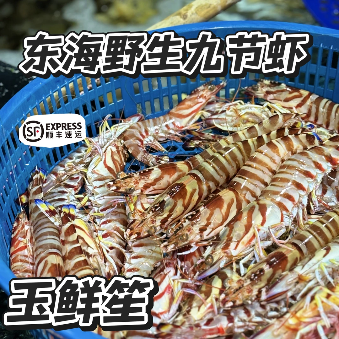 东海野生九节虾顺丰发货（充氧打包 包鲜包肥不包活）