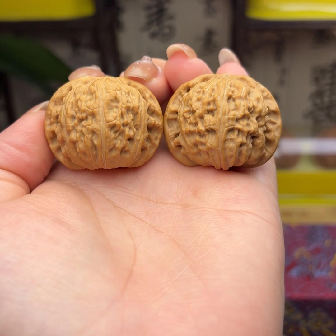 ，***，白狮子头三十六尺