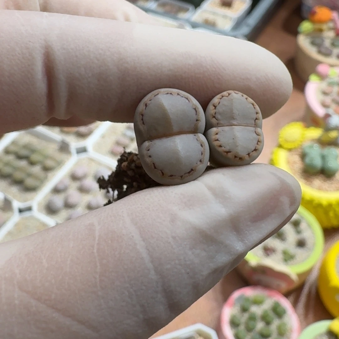 是****1118-014饼干1621.6