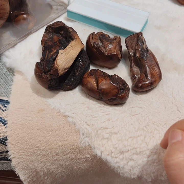 行**远北太行崖柏舍利祖师爷料