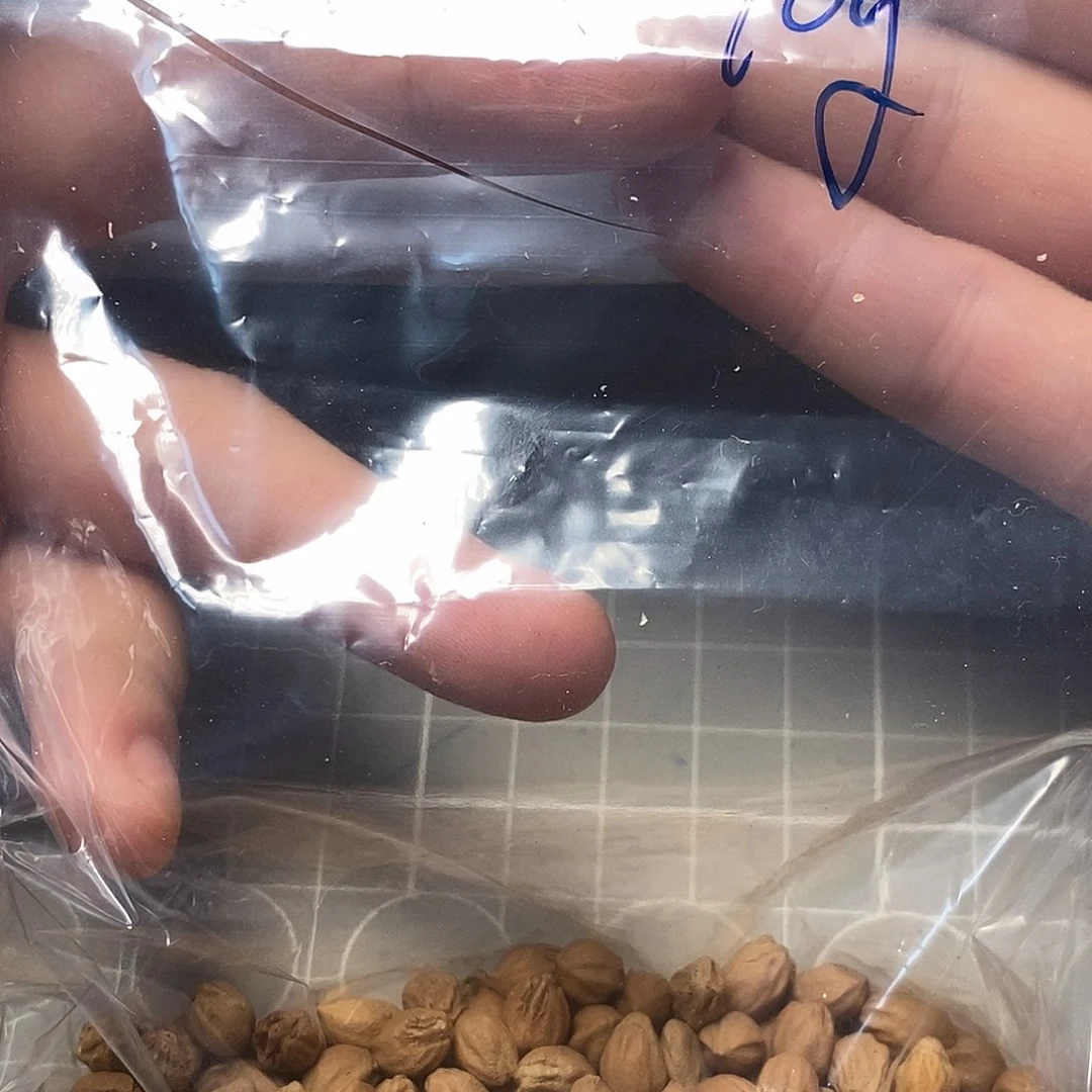 忽***影柏香籽/百香籽吊坠