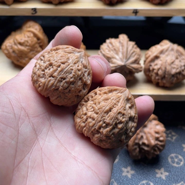 核桃金蝉子文玩核桃