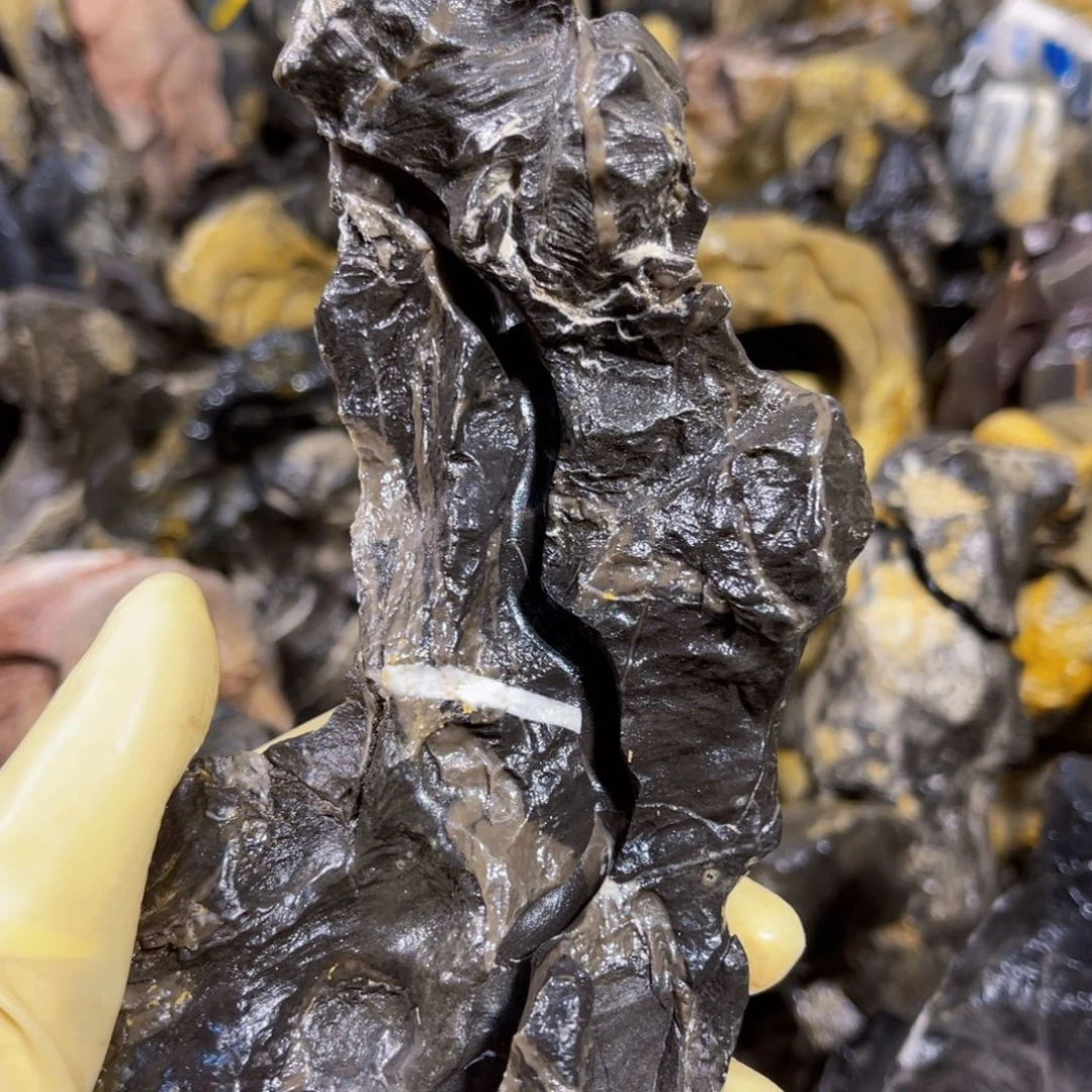 一**景附石盆景一物一拍