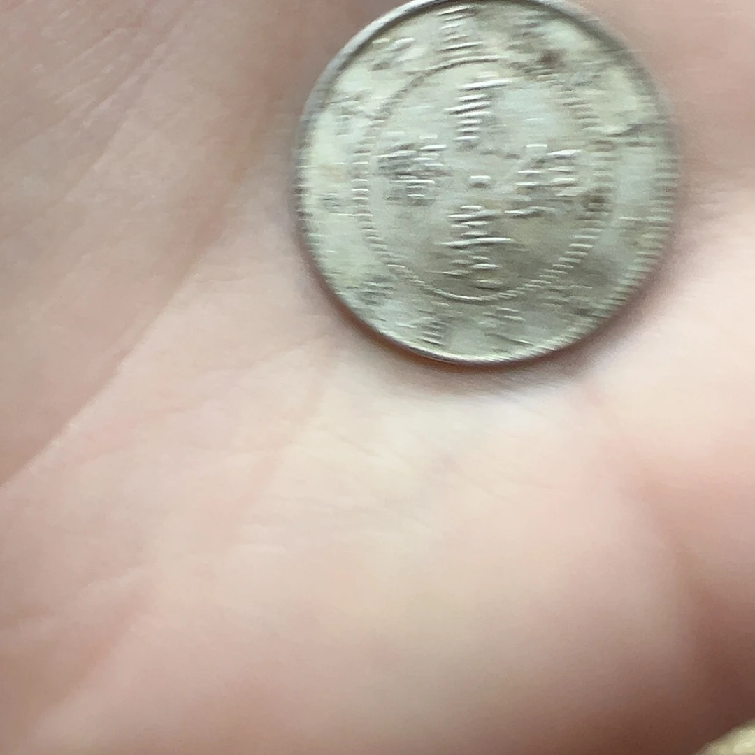 拍品。