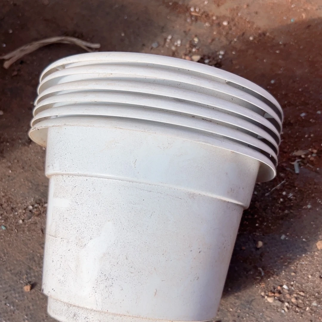 高端白圆盆21口径15高 6个