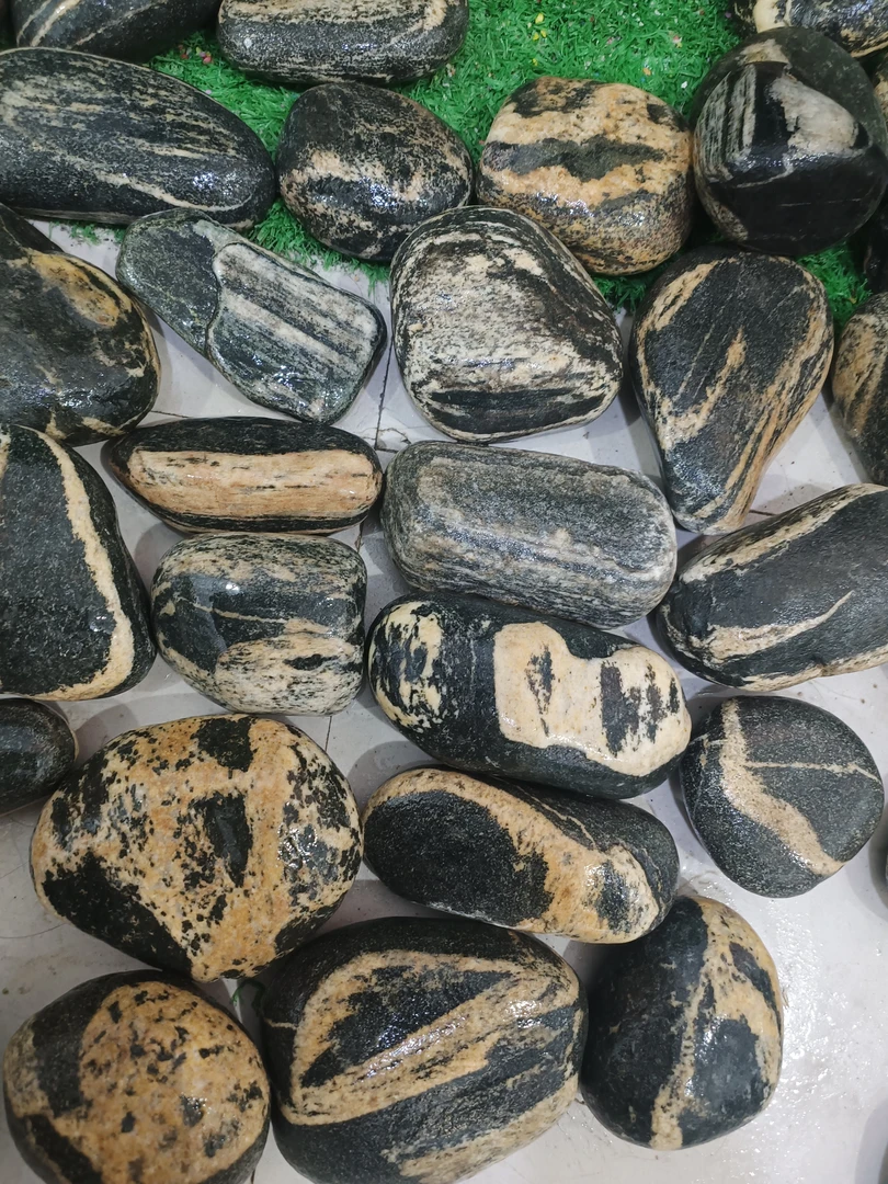 花盆，鱼缸小摆件