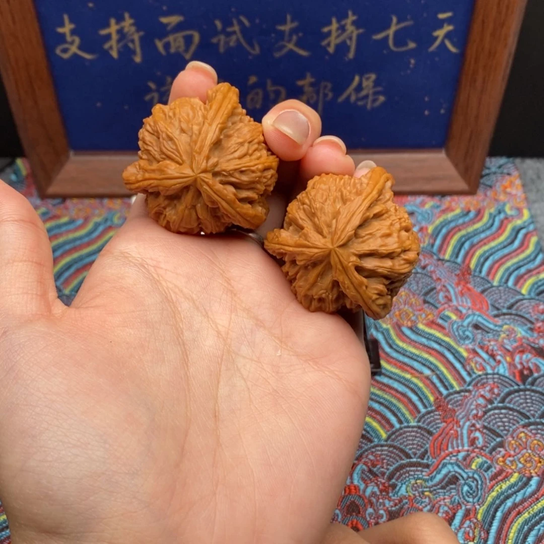 【闪购商品】看***级白狮