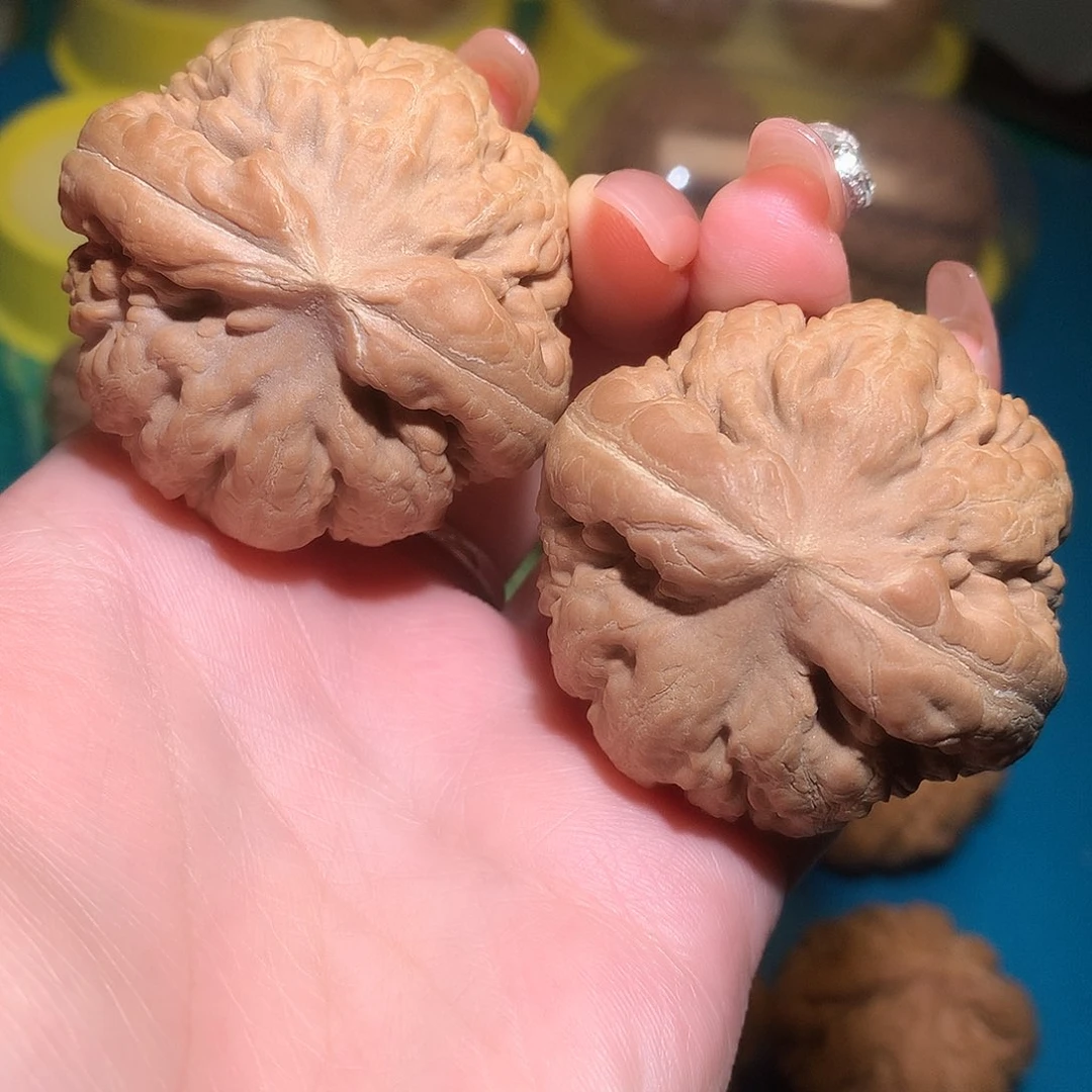 文玩核桃把件45全品闷尖霸王龙