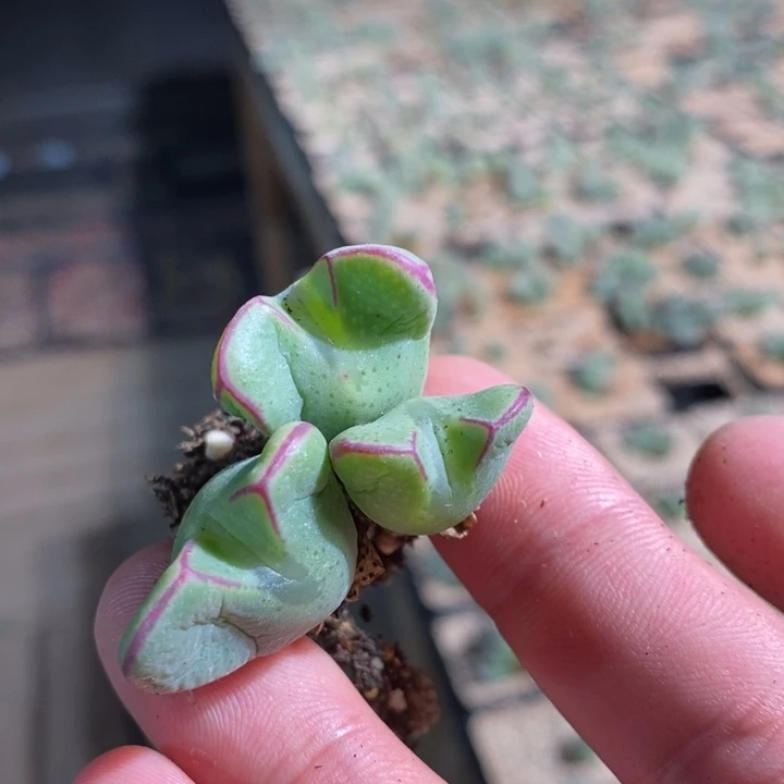 902一个一个一个