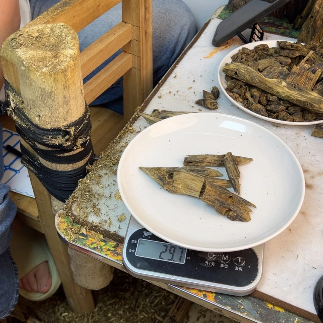 线香奇楠虫漏香29克