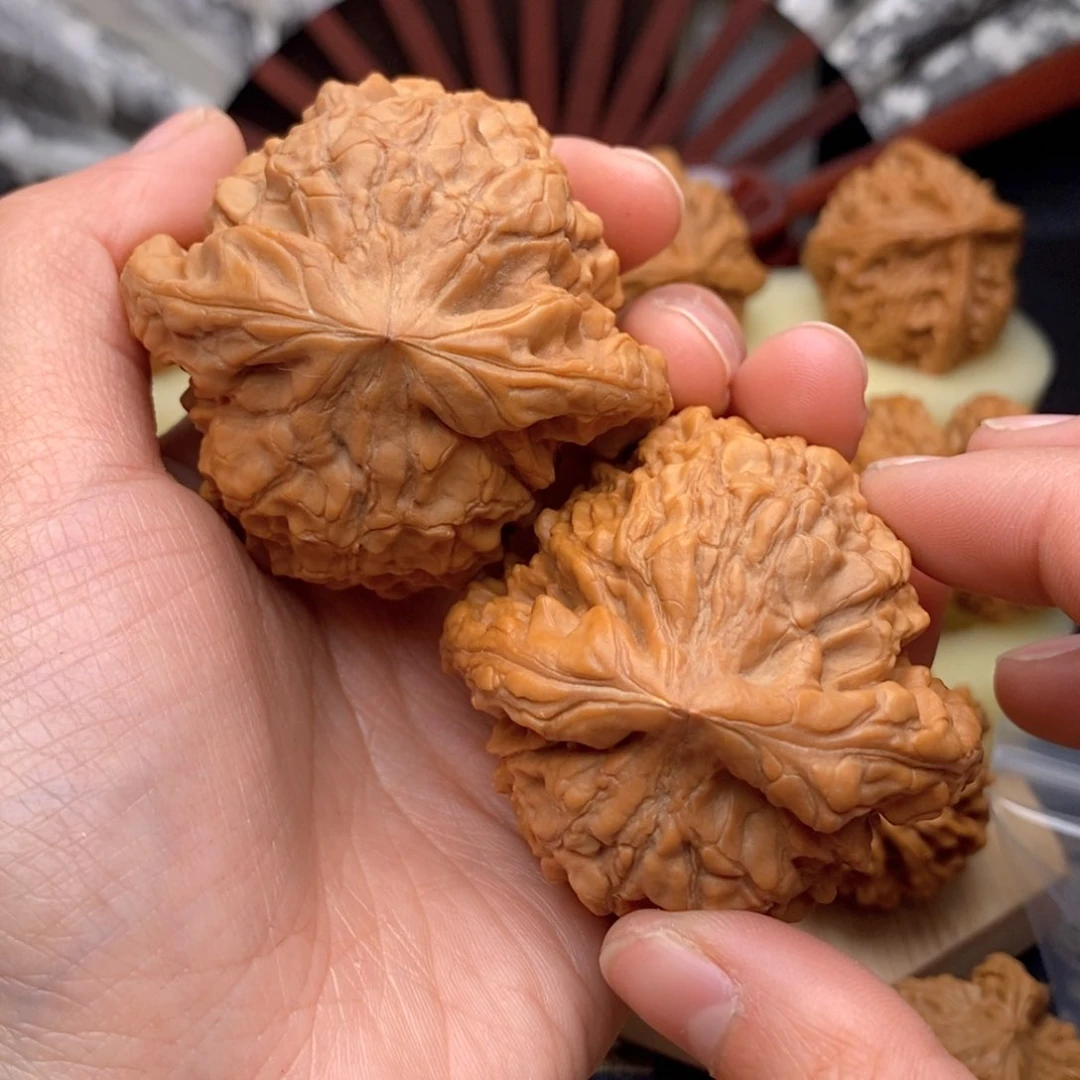 文玩核桃把件52.8全品龙鼎