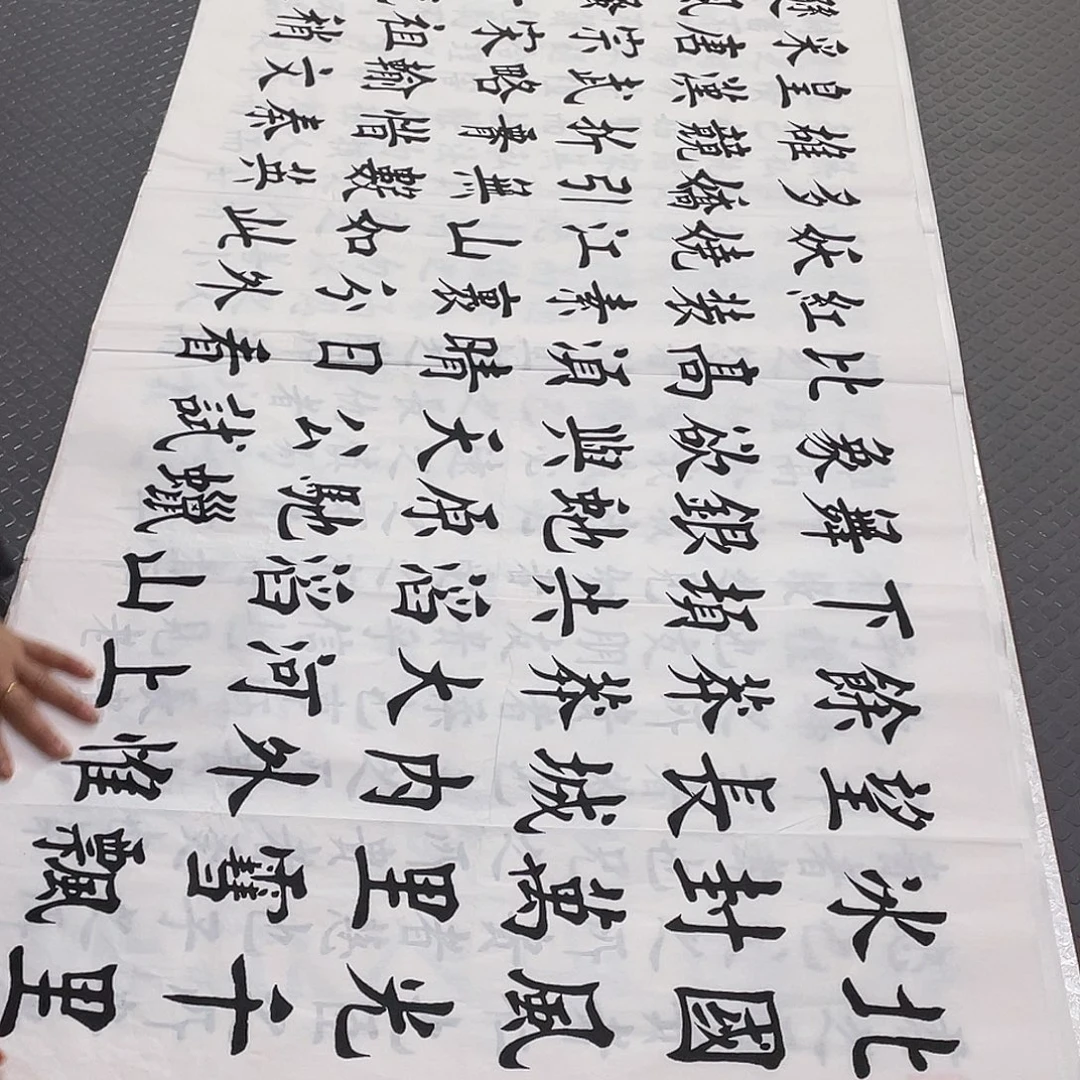 书法老师真人手写杨