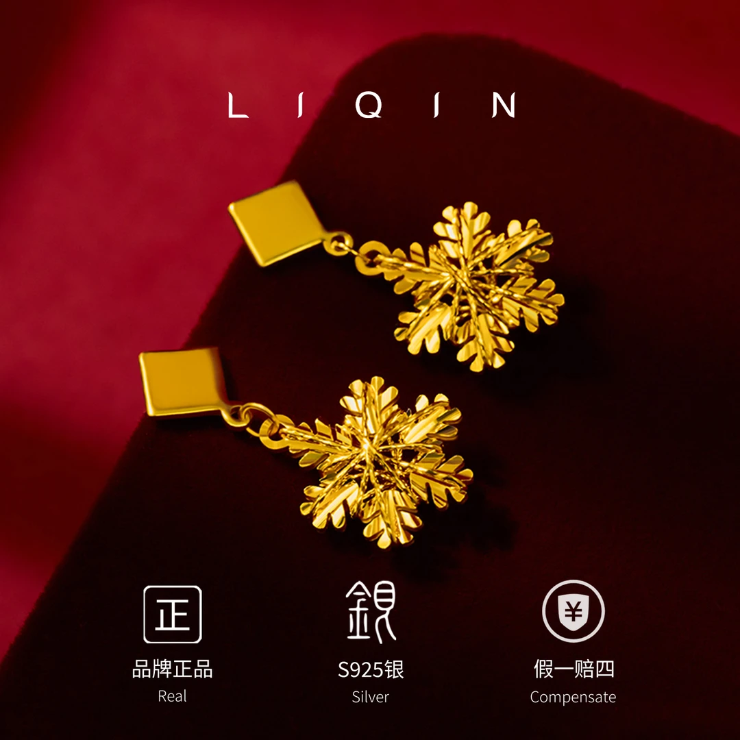 丽沁 925银耳饰 拉丝几何雪花银耳钉经典时尚轻奢精致高级感耳环