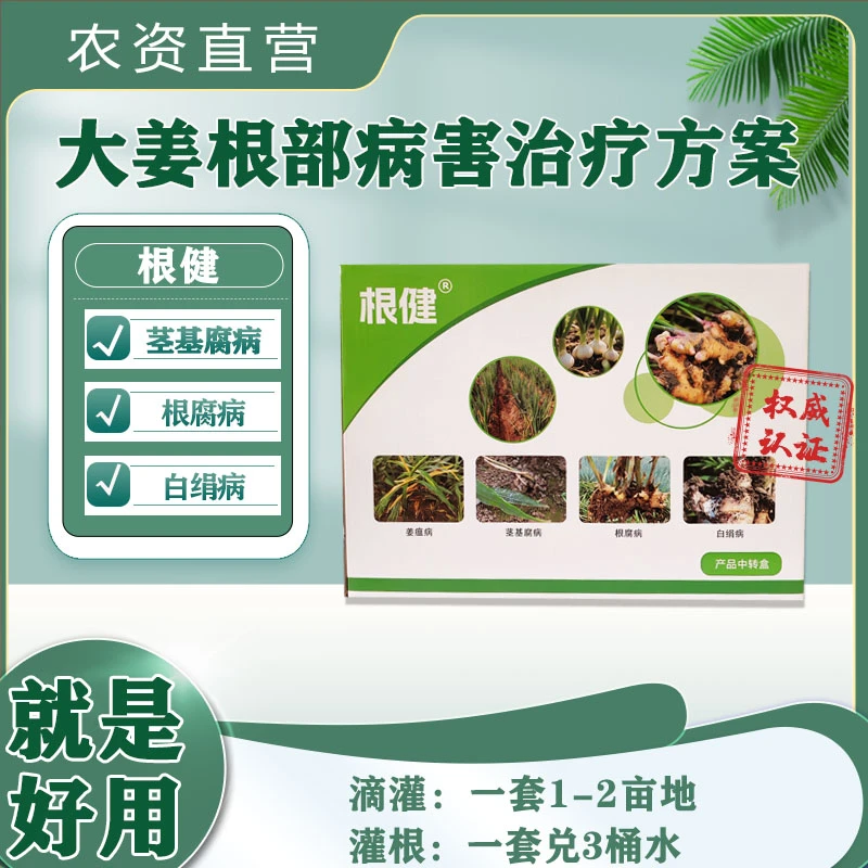 大姜根健组合冲施1-2亩地烂脖子根腐
