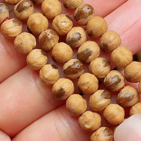 吊坠柏香籽/百香籽