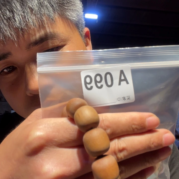 大叶紫檀（黑酸枝木类）099