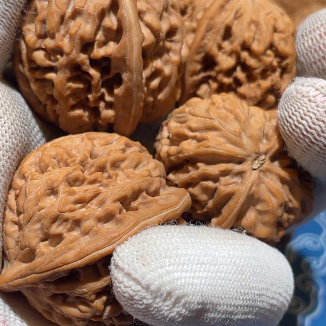 狗*蜜凤凰台上凤凰游 凤去台空江自流