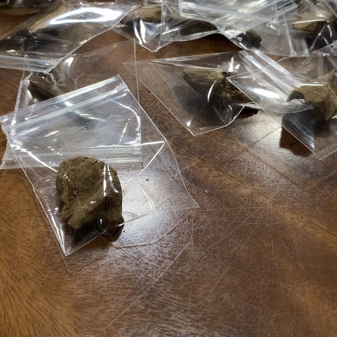 星洲材料一块（开播秒