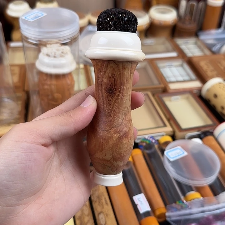 海南黄花梨倒栽天然萌新