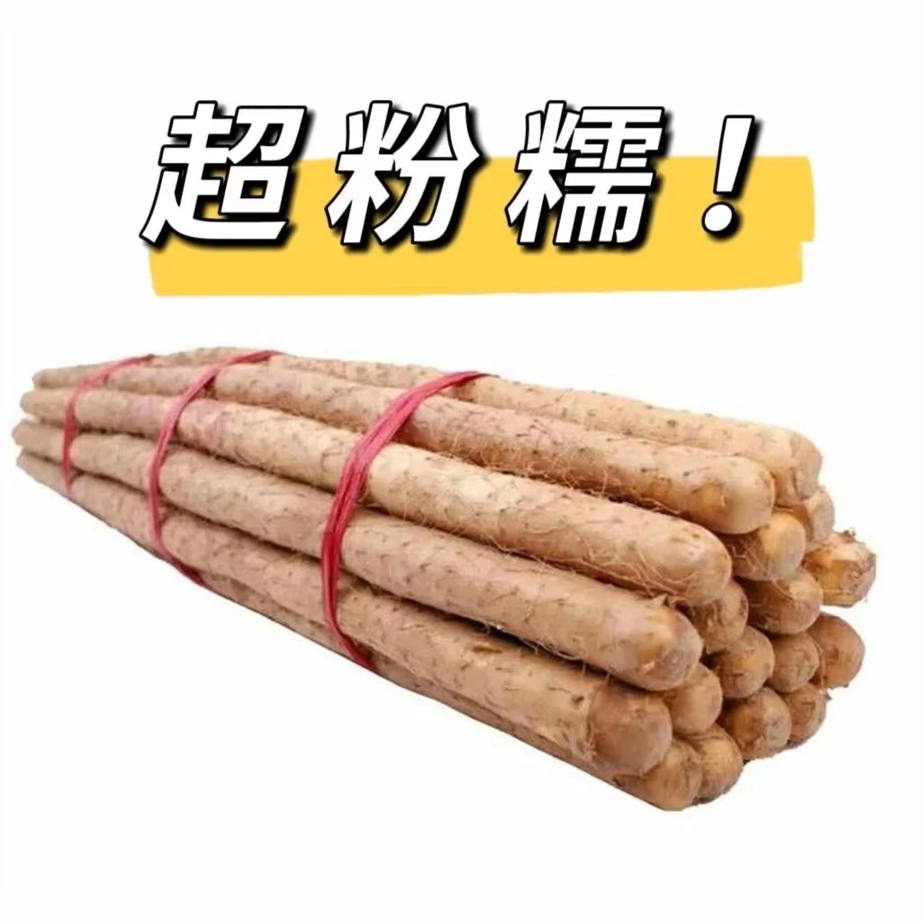 (小果)精品铁棍山药垆土种植软糯香甜小根30cm-40cm净重4.5-5斤