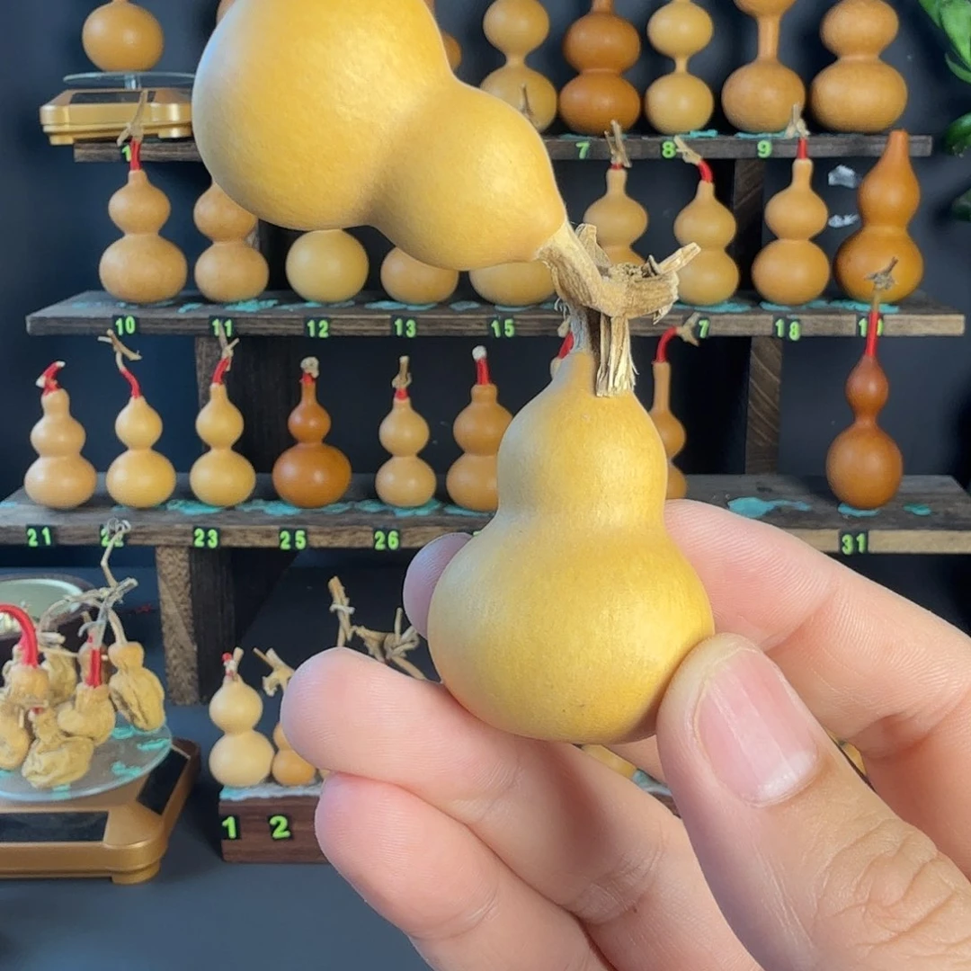 葫芦葫芦葫芦葫芦葫芦葫芦葫芦