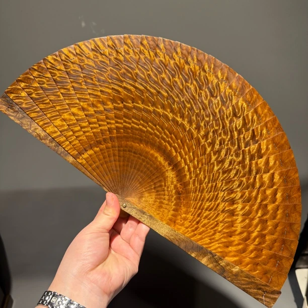 正宗小叶桢楠金丝楠木老料21㎝龙胆纹高货黑金料