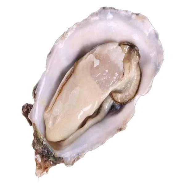 大生蚝（7两一个）