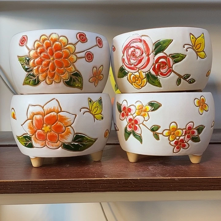 韩式多肉植物花盆