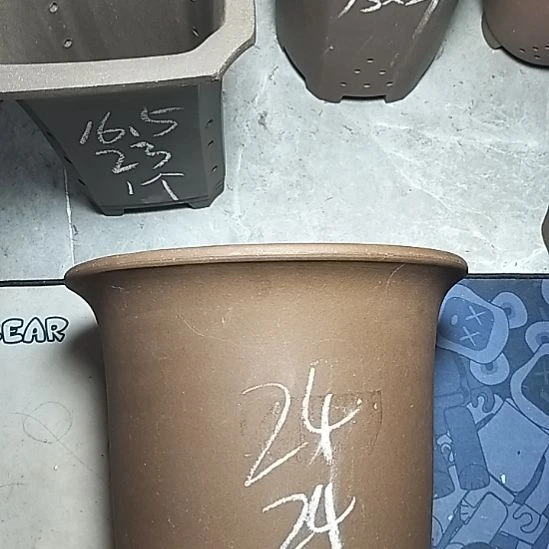 特大金钟一个花盆