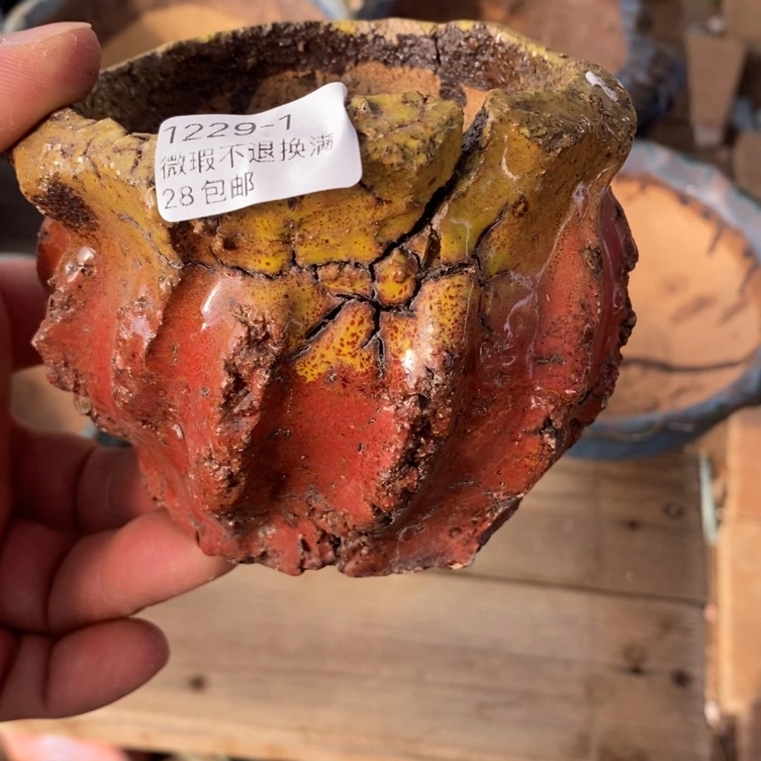 1号花盆内高9窑裂