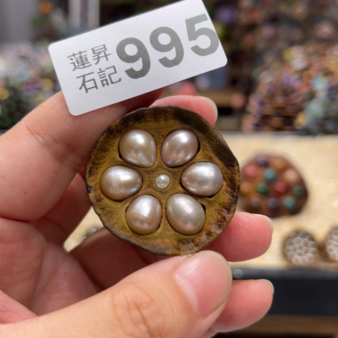 核桃木/黑胡桃（胡桃木）995珍珍