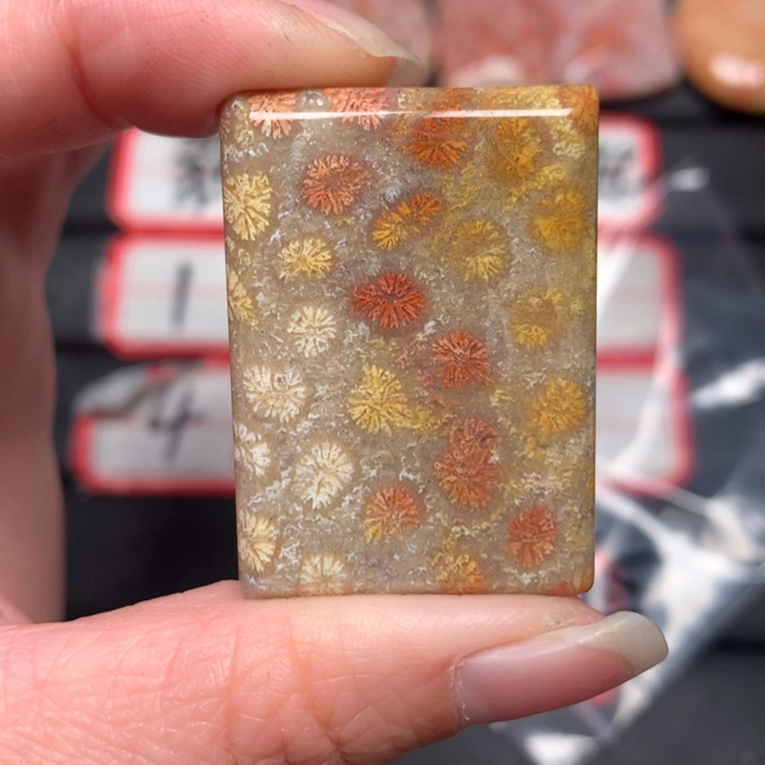 【闪购商品】硅化玉颈饰未镶嵌今****花