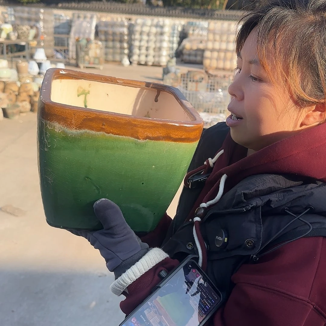 王嫂花盆1229-434高20口22微瑕