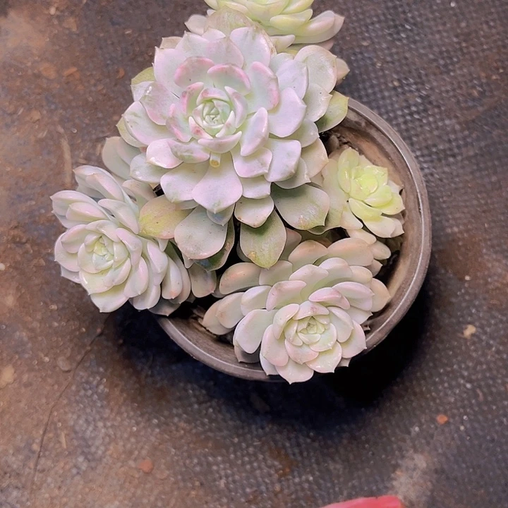 用***7不用急哈就能来拿东西给