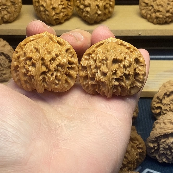 核桃41白狮子福利