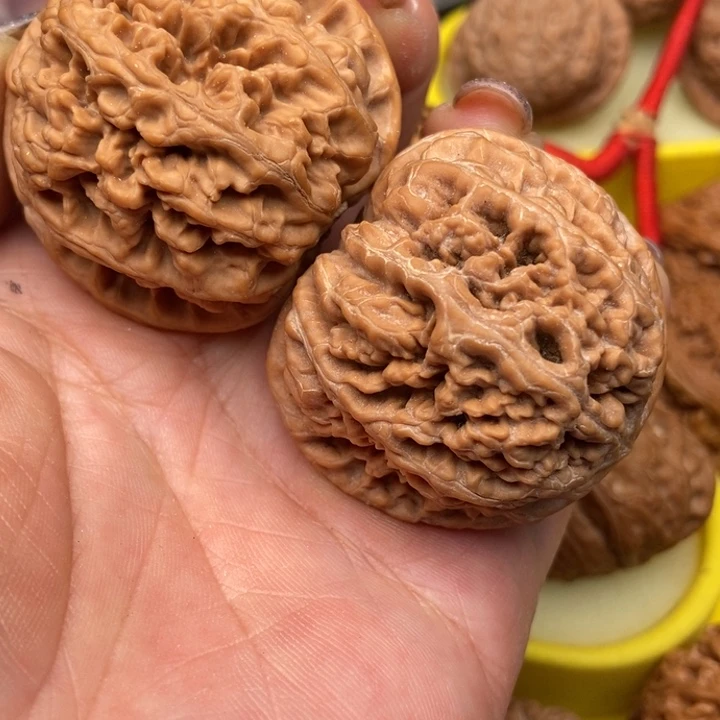 弄****儿粗筋8888888888