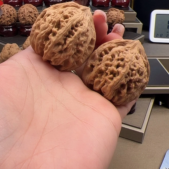 文玩核桃把件39 大 沽石 e-029