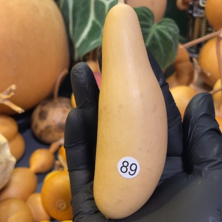 默认微瑕不保龙头