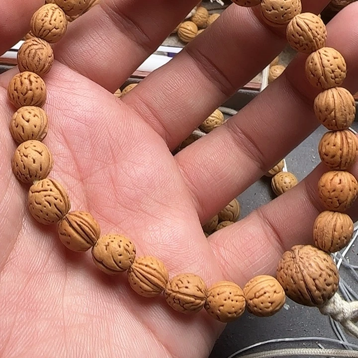 2号0.9+野生桃核金豆一条