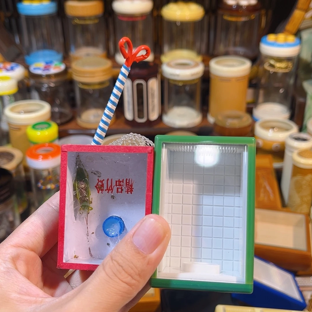 蟋蟀有机盒+绿金钟+抄网