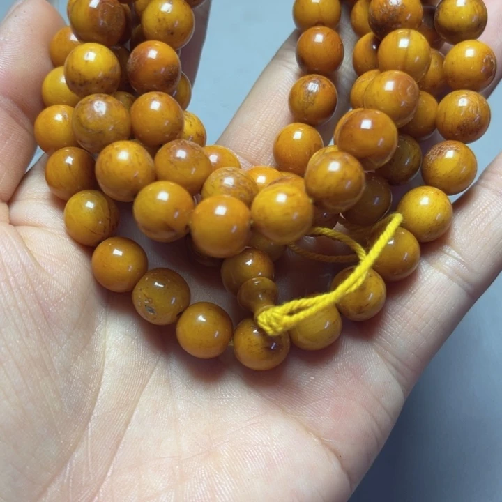 大果紫檀（缅甸花梨）