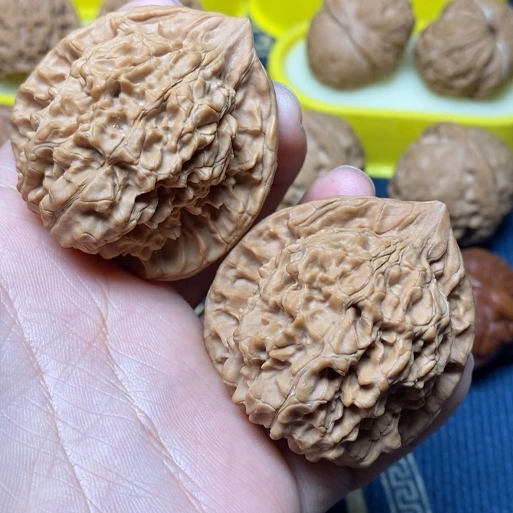 文玩核桃原桩官帽47