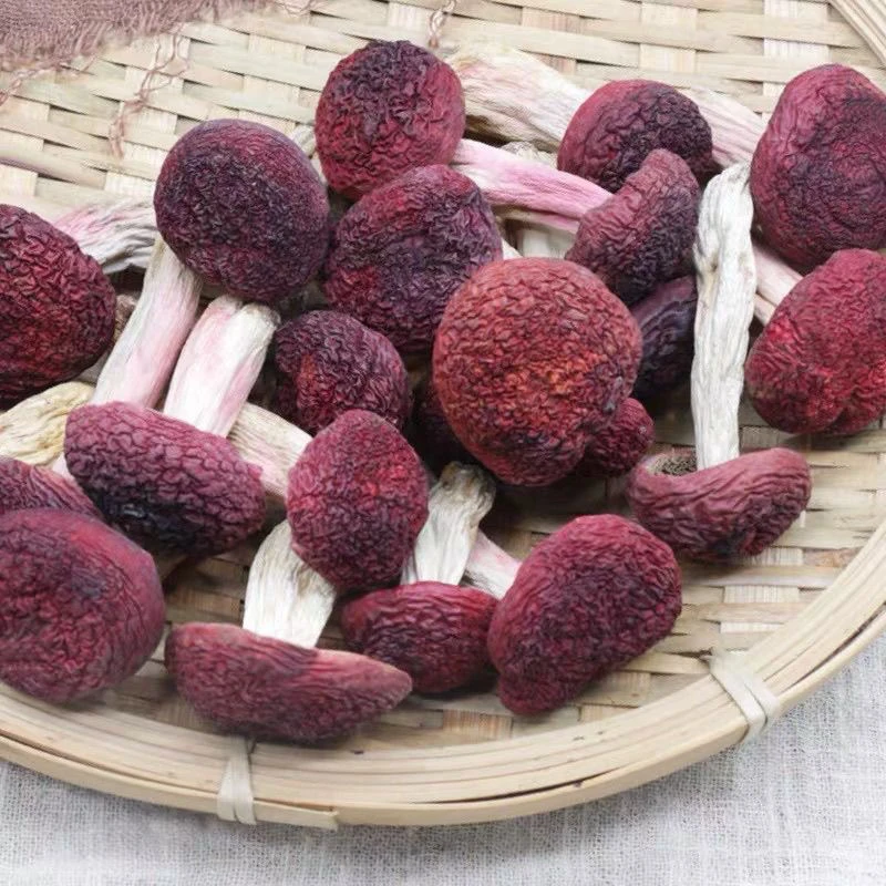 【爱莲】贵州深山林下红菇