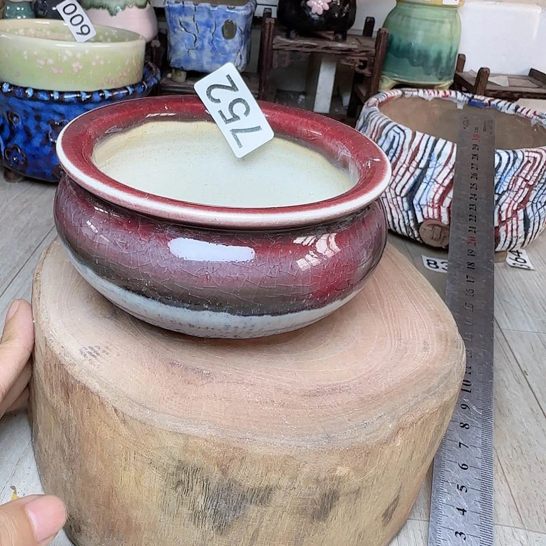 满38送两个拇指花盆