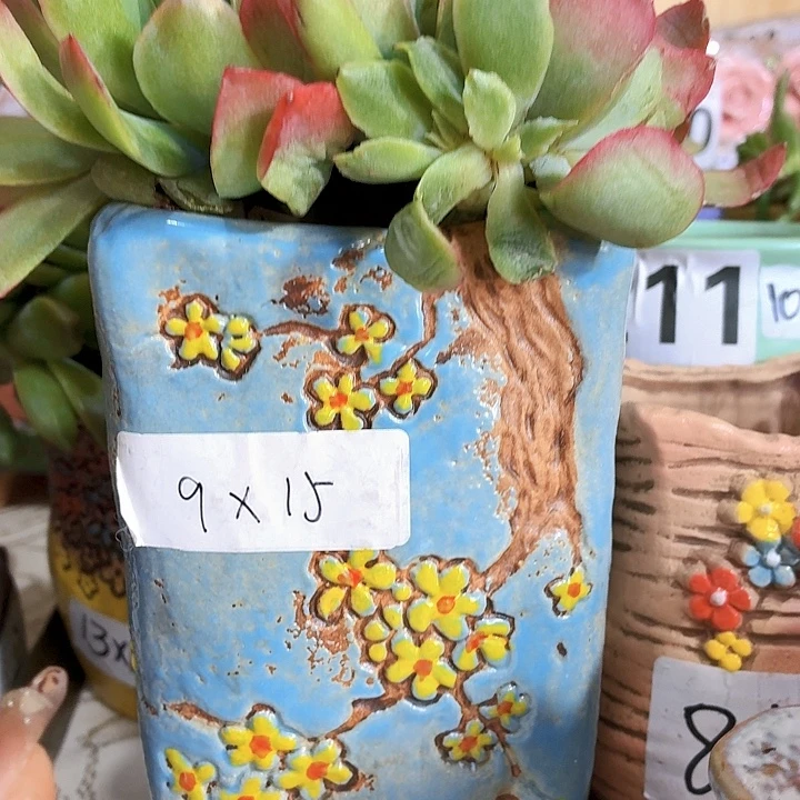 多肉花盆，满15包邮
