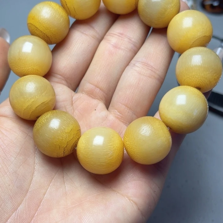 大果紫檀（缅甸花梨）