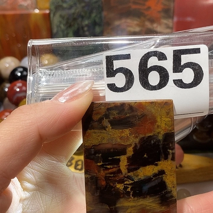 硅化玉未镶嵌天然北票树化玉