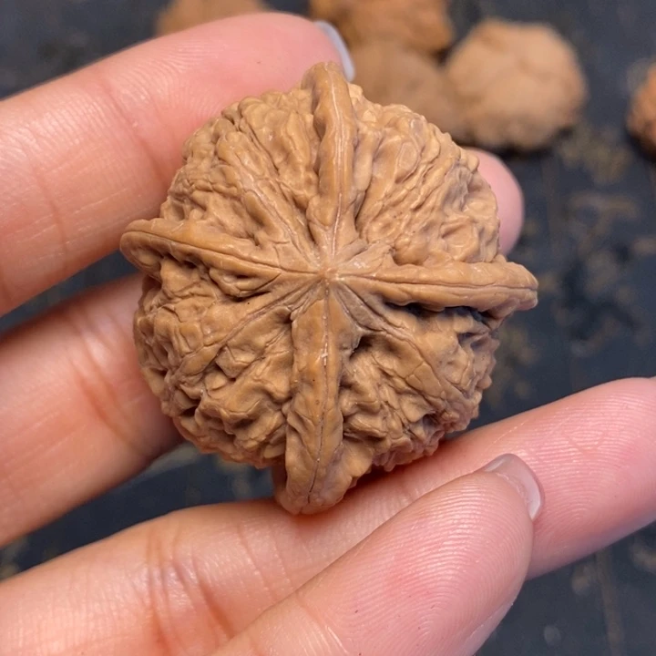 文玩核桃吊坠草**春文玩核桃异形单只